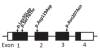 thumbnail image from paper