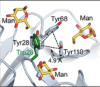 thumbnail image from paper