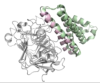 thumbnail image from paper