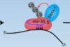 thumbnail image from paper