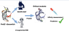 thumbnail image from paper