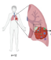 thumbnail image from paper