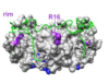 thumbnail image from paper