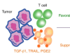 thumbnail image from paper