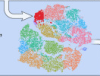 thumbnail image from paper