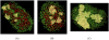 thumbnail image from paper