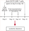 thumbnail image from paper