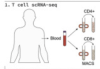thumbnail image from paper