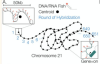 thumbnail image from paper