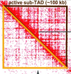 thumbnail image from paper