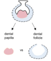 thumbnail image from paper