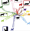 thumbnail image from paper