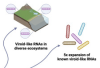 thumbnail image from paper