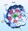 thumbnail image from paper