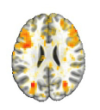 thumbnail image from paper