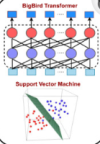 thumbnail image from paper