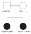thumbnail image from paper
