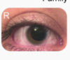 thumbnail image from paper
