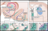 thumbnail image from paper