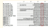 thumbnail image from paper
