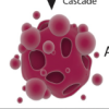 thumbnail image from paper