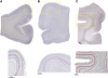 thumbnail image from paper