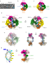 thumbnail image from paper