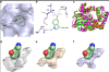 thumbnail image from paper