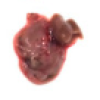 thumbnail image from paper