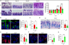 thumbnail image from paper