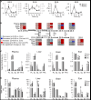 thumbnail image from paper