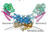 thumbnail image from paper