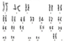 thumbnail image from paper