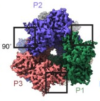 thumbnail image from paper