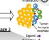 thumbnail image from paper