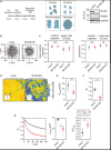 thumbnail image from paper