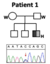 thumbnail image from paper