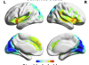 thumbnail image from paper