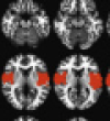 thumbnail image from paper