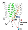 thumbnail image from paper