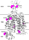 thumbnail image from paper