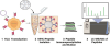 thumbnail image from paper