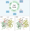 thumbnail image from paper
