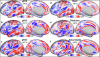 thumbnail image from paper