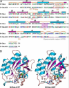 thumbnail image from paper