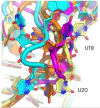 thumbnail image from paper