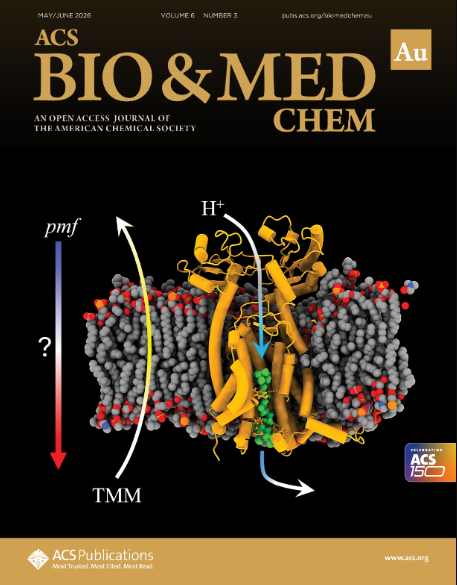 thumbnail image from paper