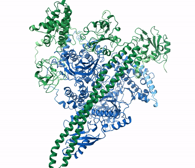 PI3K heterodimer model animation