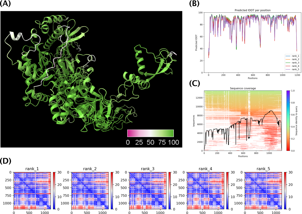 colabfold predicted structure for YP_003986740