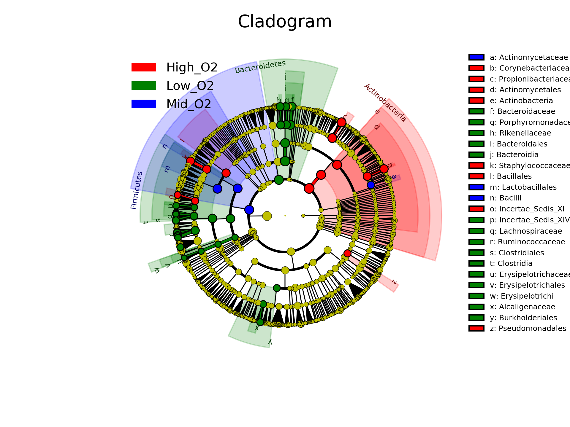 lefse cladogram